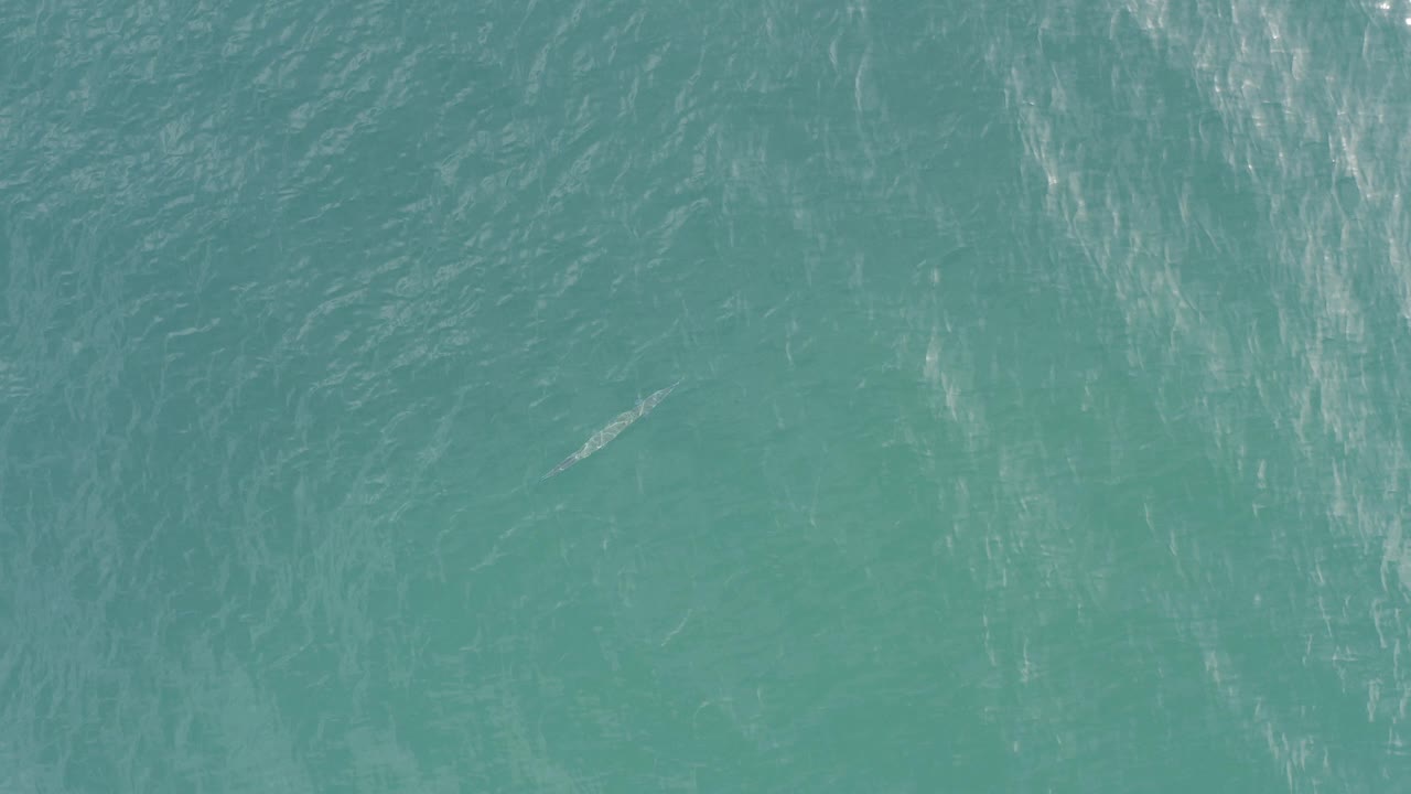 Turquoise ocean surface in Baja California Sur fills the frame with faint white streaks and no visible people.