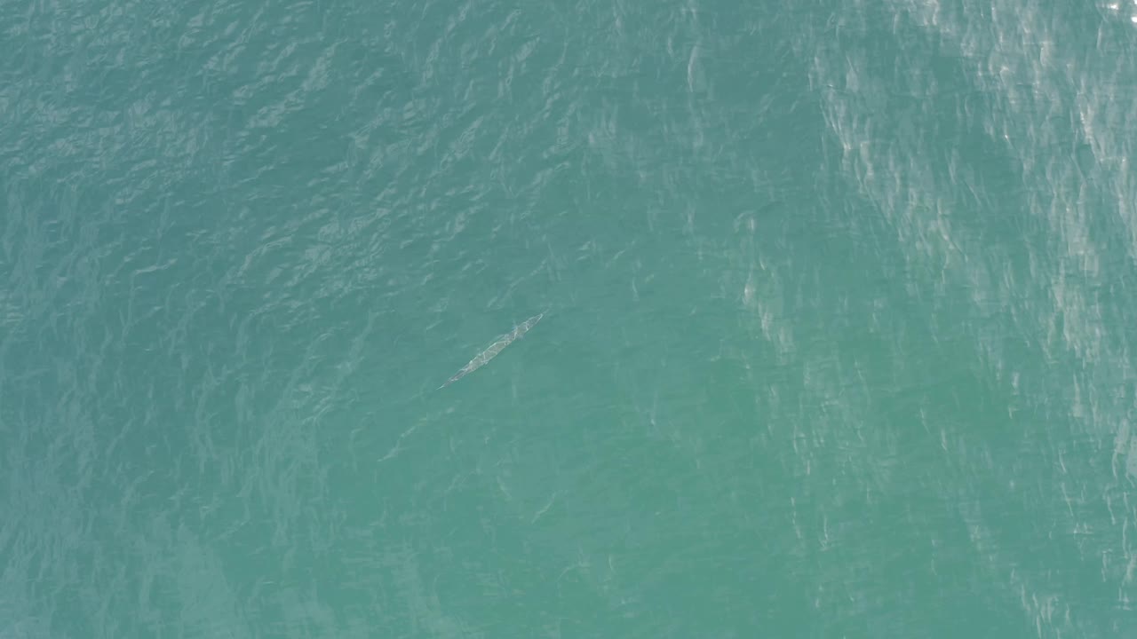 Blue-green water with soft surface ripples