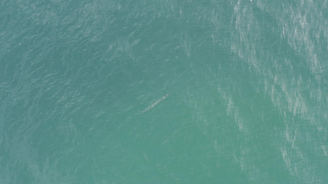 Teal sea surface in Baja California Sur appears slightly darker with scattered light streaks across the water and no visible people.