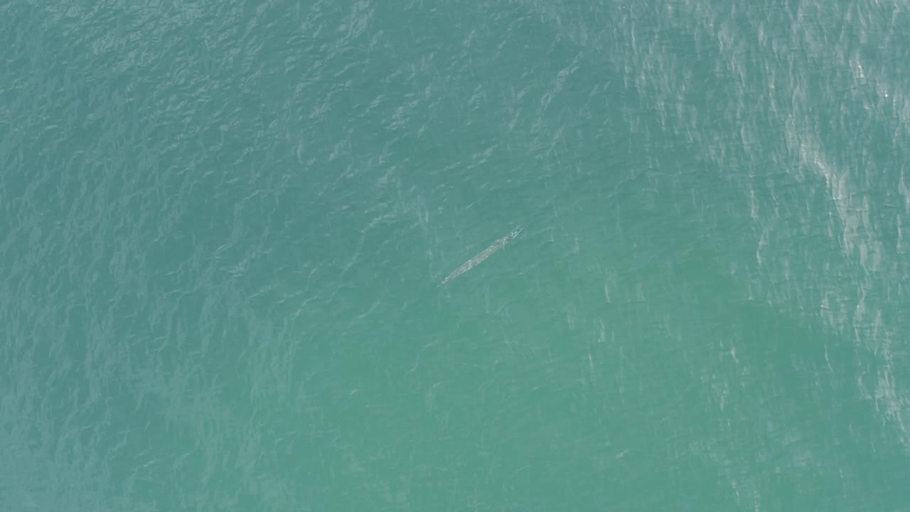 Top-down view of teal ocean water in Baja California Sur, Mexico, with faint pale streaks across the surface and no visible people.