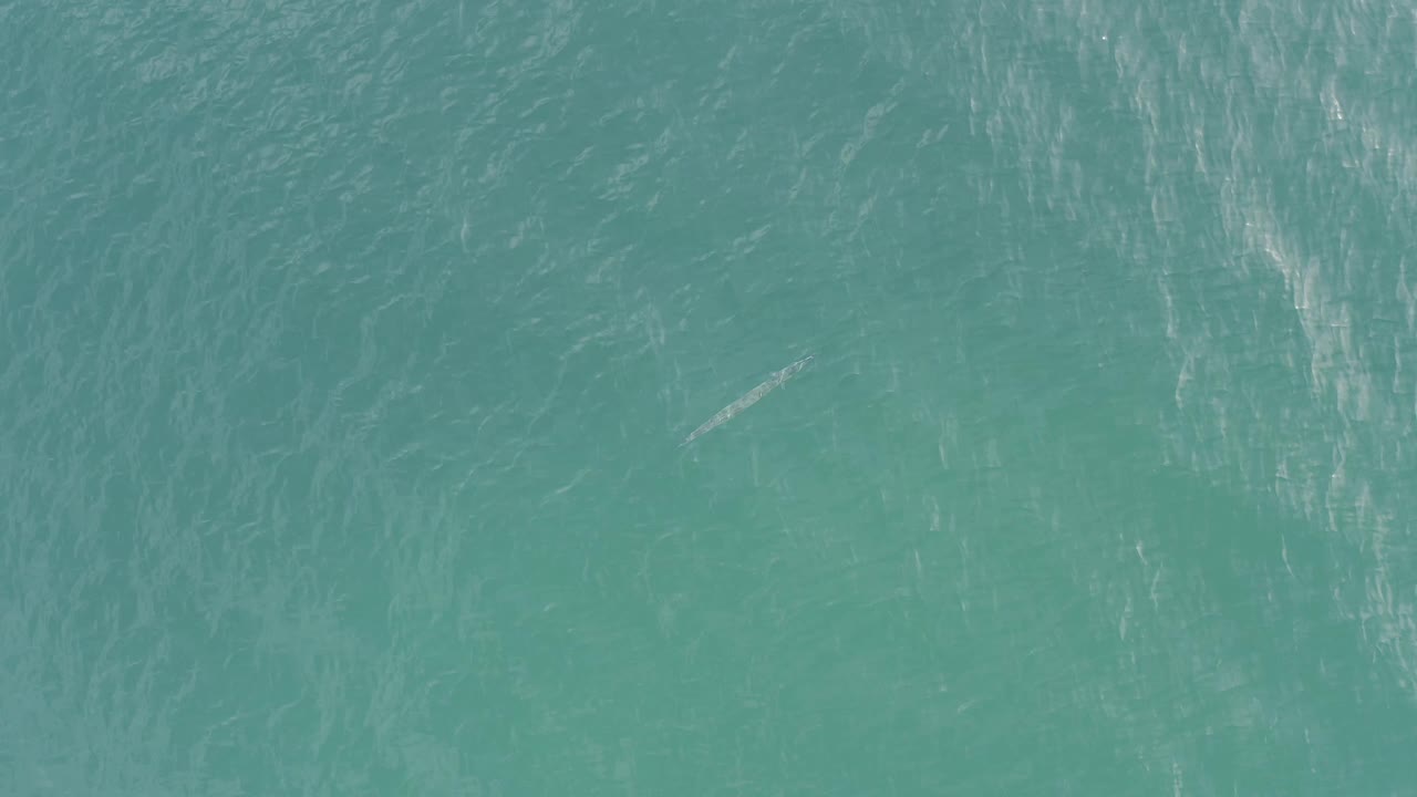 Blue-green sea surface in Baja California Sur, Mexico, seen from above with soft ripples, pale highlights, and no visible people.