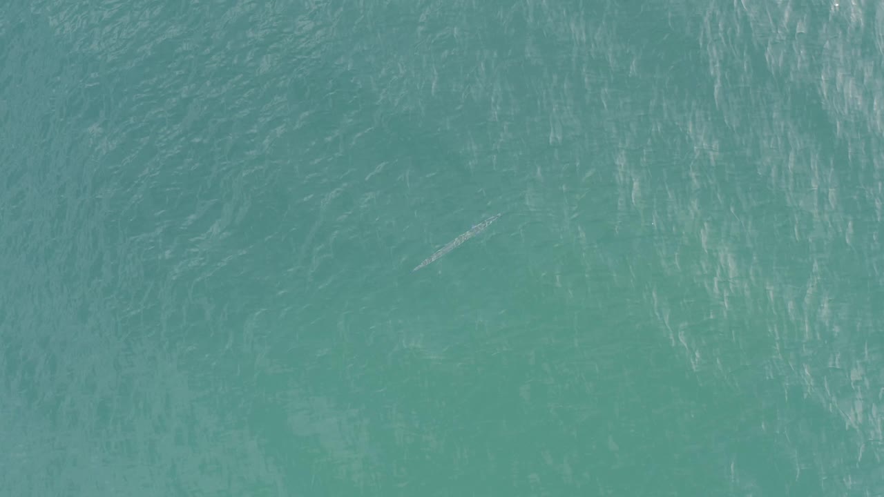 Overhead turquoise water in Baja California Sur, Mexico, with brighter surface markings toward the right side and no visible people.