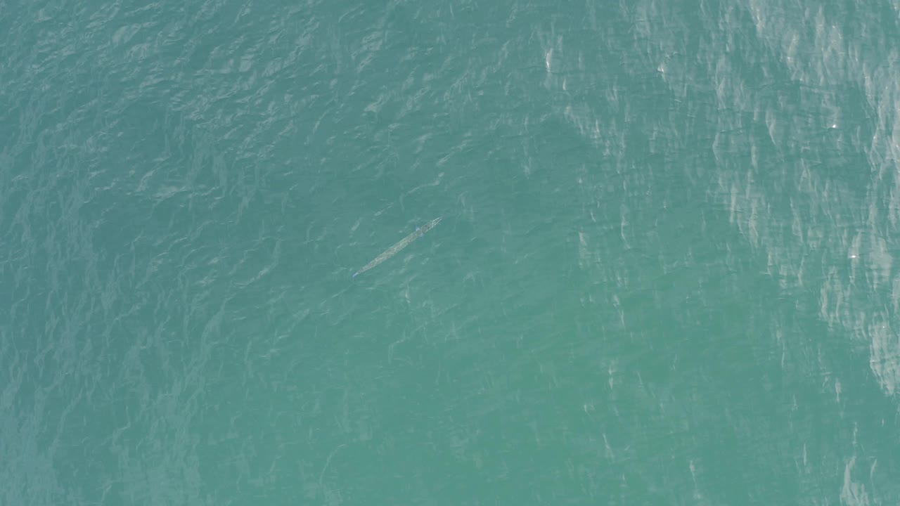 Green ocean surface with a small pale marine shape