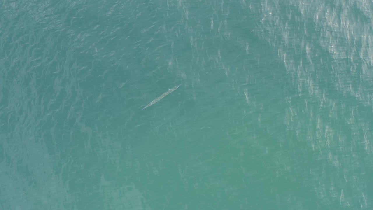 A top-down view of green ocean in Baja California Sur, Mexico, showing mottled surface texture, bright streaks near the upper area, a faint elongated shape, and no visible people.