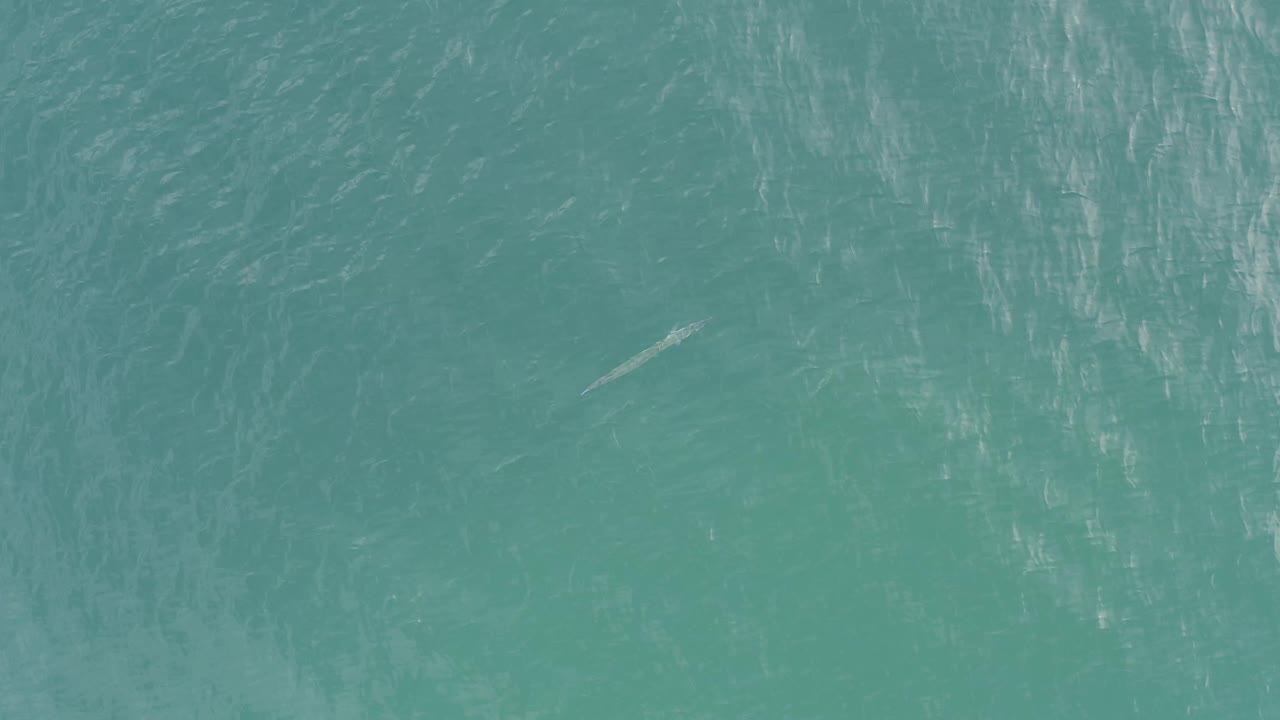 Overhead Baja California Sur ocean frame with blue-green water, vertical-looking light streaks on the surface, a faint fish-like shape beneath the water, and no visible people.