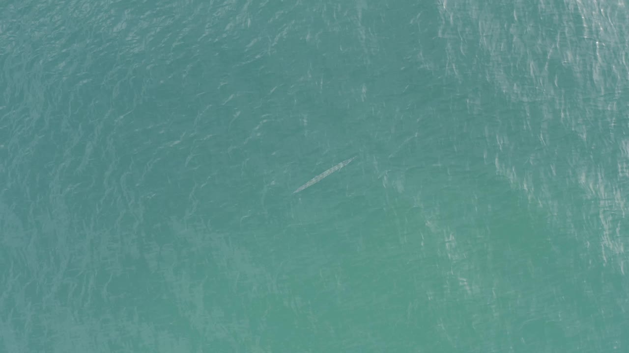 Aerial view over turquoise water in Baja California Sur with soft surface shimmer, a small pale fish-like mark below the surface, and no visible people or shoreline.
