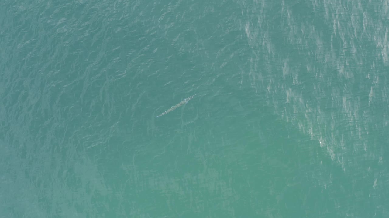 Textured blue ocean surface with a small fish-like form under the water.