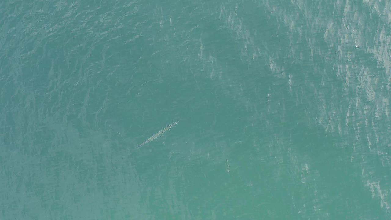 Skinny fish shape beneath turquoise rippled water.