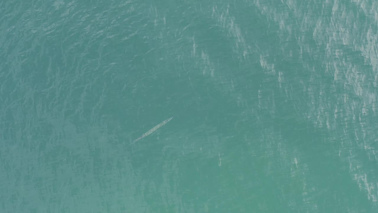 Aerial frame from Baja California Sur, Mexico, with the thin fish form slightly farther across blue-green water and no visible people.