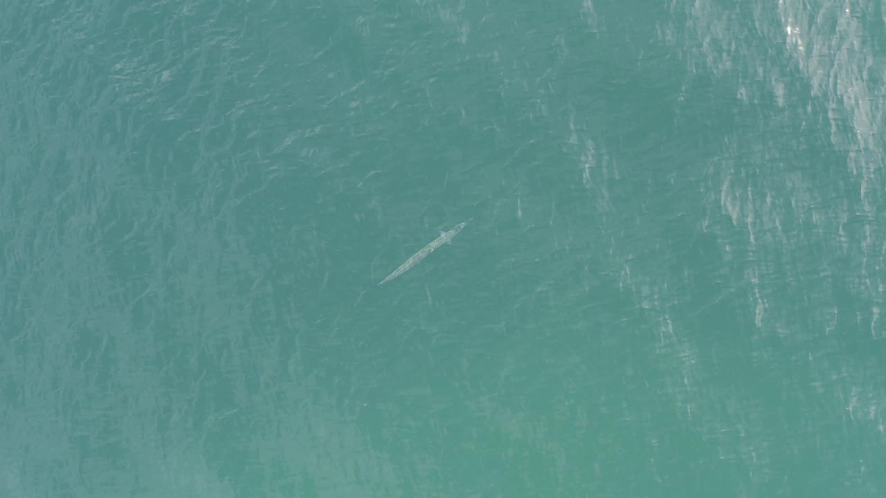 Top-down view of turquoise water in Baja California Sur, Mexico, with a small pale object near the left side and no visible people.
