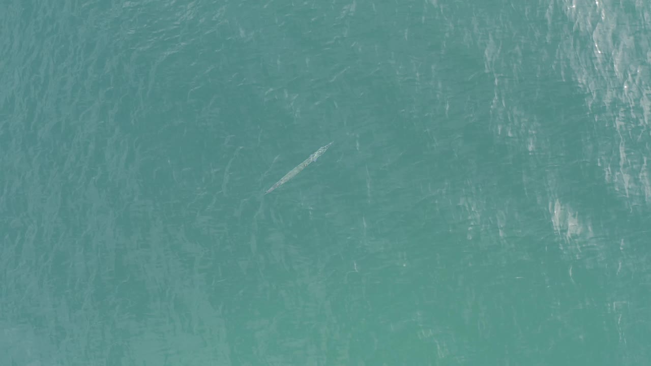 Turquoise sea with ripples and a small light object.