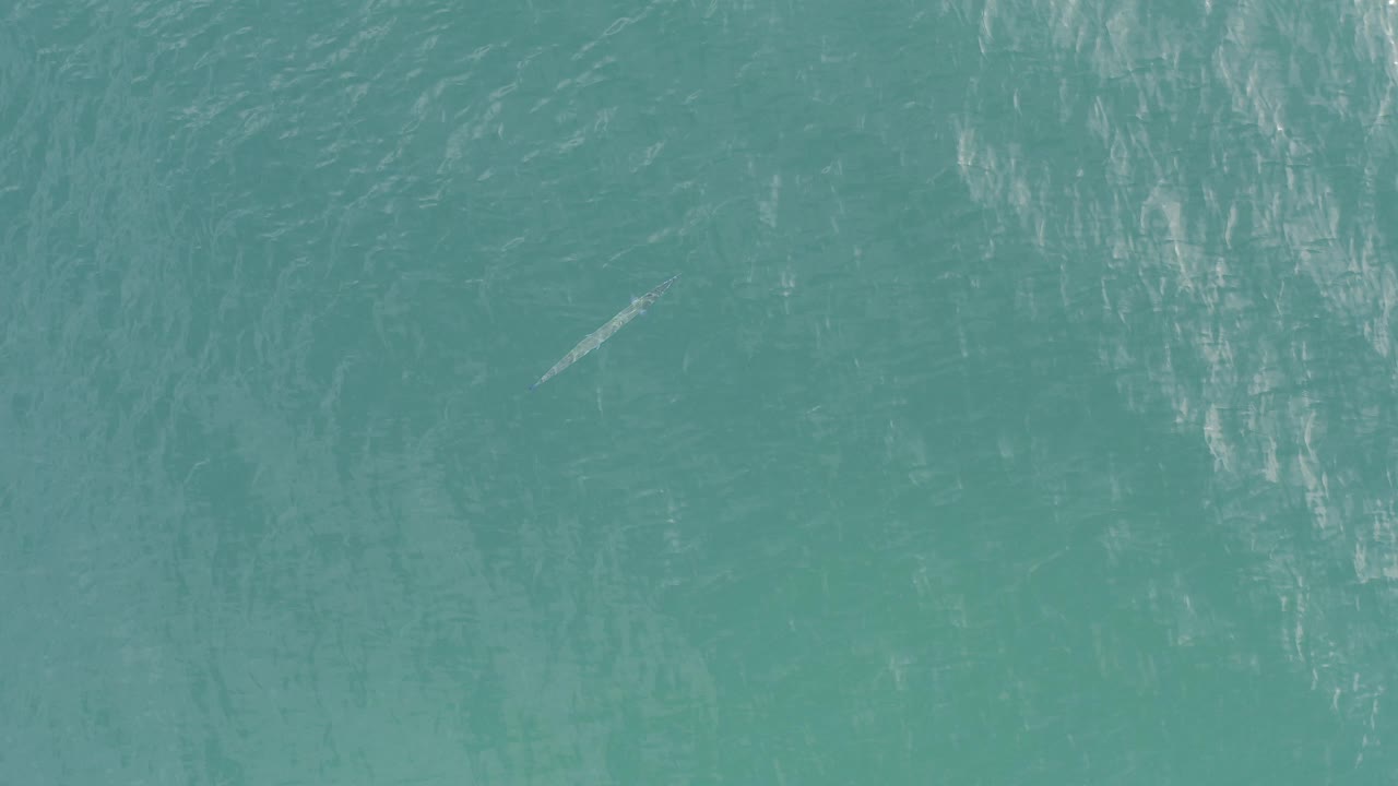 Top-down turquoise water with a small pale floating object