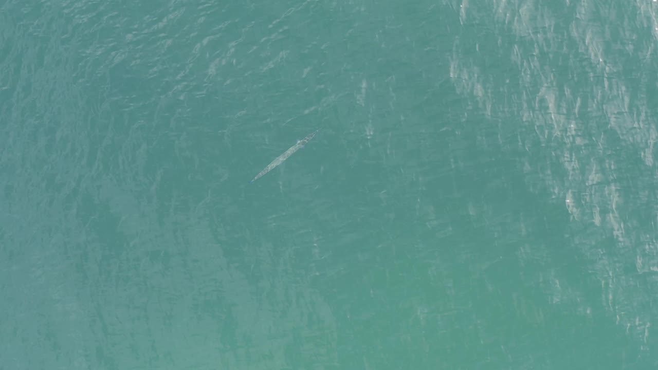 Aerial frame over Baja California Sur Mexico water showing faint surface streaks and the small pale object slightly left of center, with no visible people.