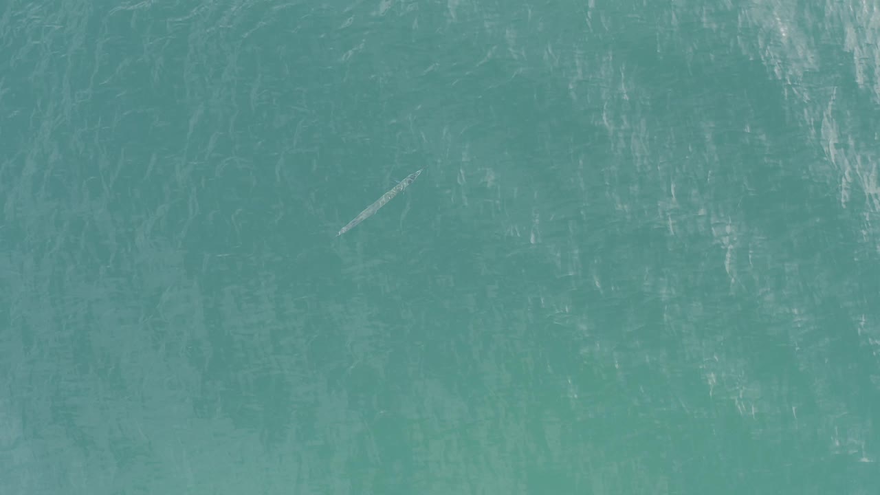 Overhead view of teal water in Baja California Sur Mexico with a small light-colored floating object and soft reflected streaks, with no visible people.