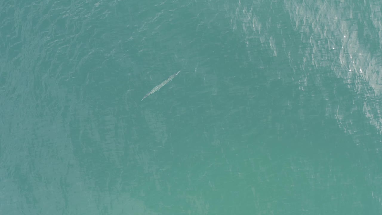 Top-down Baja California Sur Mexico water surface with the pale floating object low on the left side and brighter vertical reflections, with no visible people.