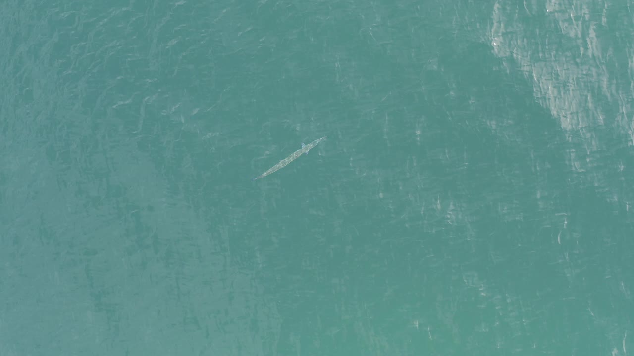 Overhead view of turquoise water in Baja California Sur with a small long fish-like shape near the lower left area and no visible people.