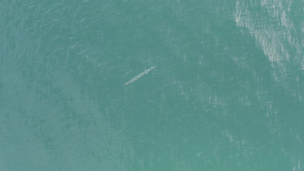 Small pale fish-like shape under textured blue-green water.