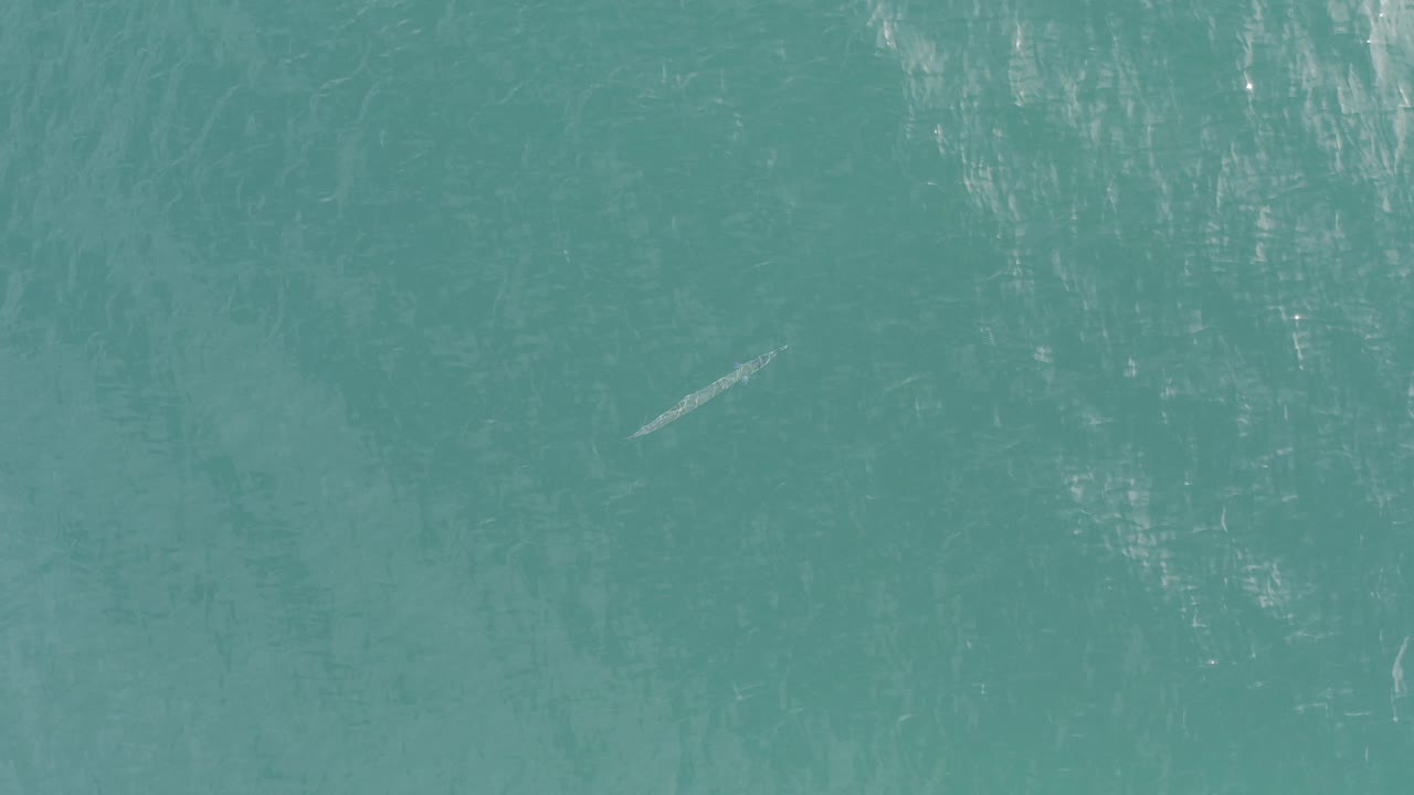 Overhead view of turquoise water in Baja California Sur, Mexico, with a small pale fish-shaped form near the left side and no visible people.