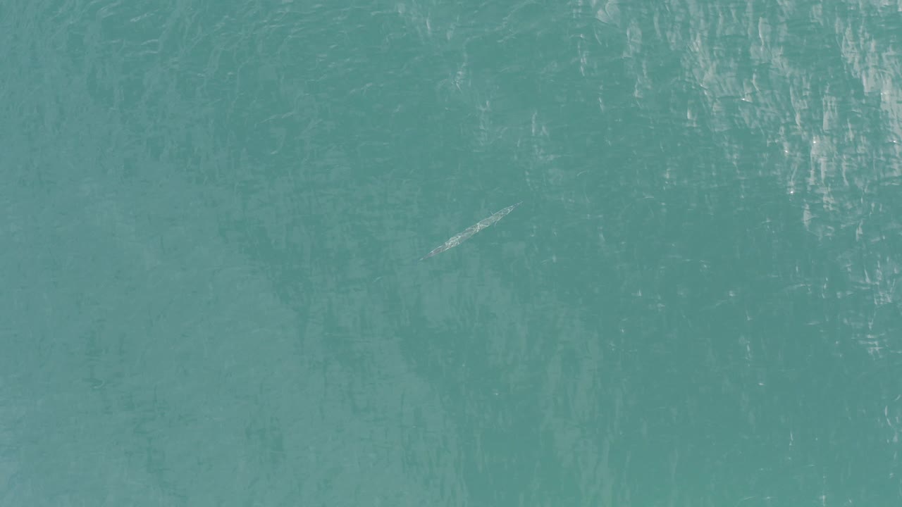 Blue-green water fills the frame in Baja California Sur, Mexico, with faint white surface reflections and no visible people.