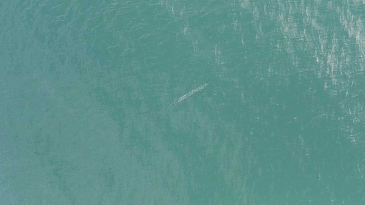 Turquoise water in Baja California Sur, Mexico, shows soft ripples and a small pale streak near the upper portion, with no visible people.
