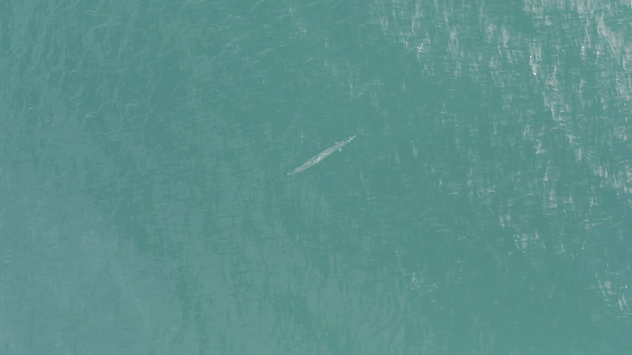 Blue tropical water fills the Baja California Sur frame with brushed white reflections across the upper half and no visible people.