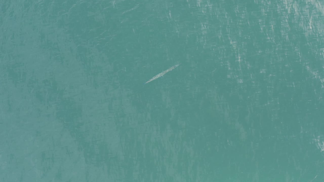 Teal water surface with a pale diagonal mark.
