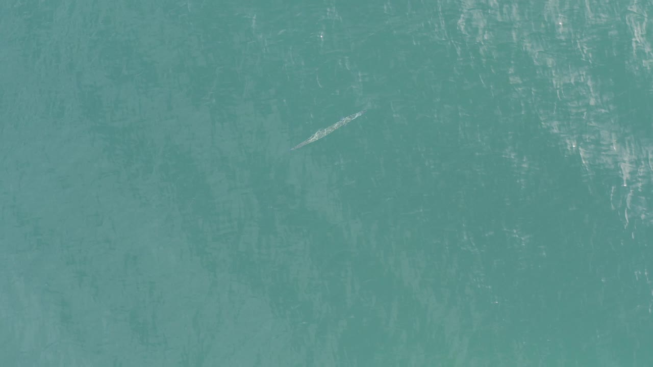 Overhead teal sea surface in Baja California Sur, Mexico, with sun streaks and a small pale fish-shaped form near the upper left, no visible people.