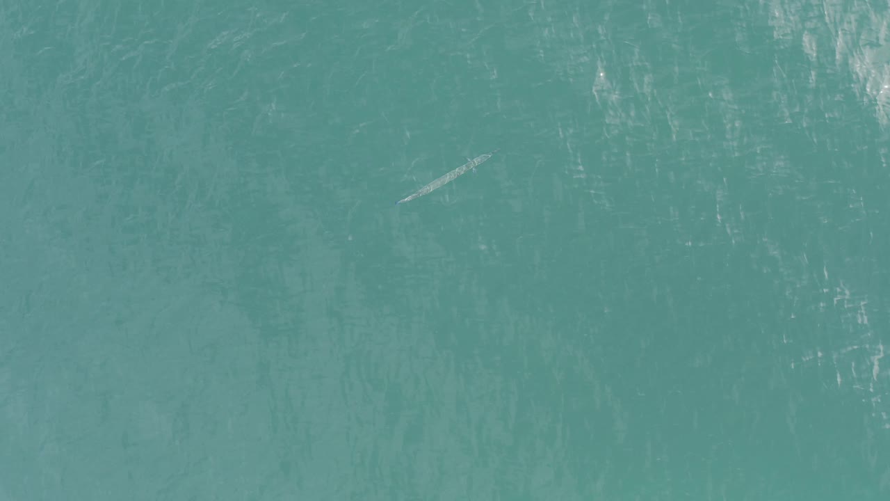 Clear teal sea surface in Baja California Sur, Mexico, with vertical light streaks and a small pale fish-shaped form near the upper right, no visible people.