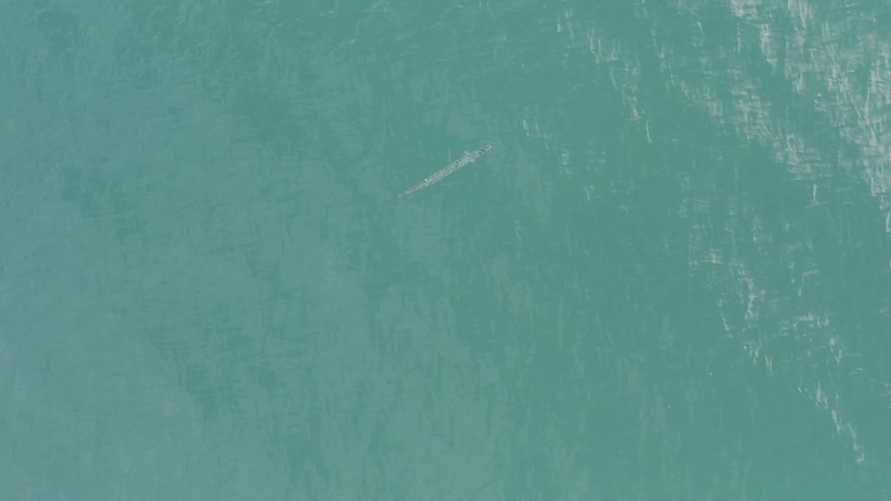 Overhead Baja California Sur water view with mottled sunlight and a small pale fish-shaped form low on the left side, no visible people.