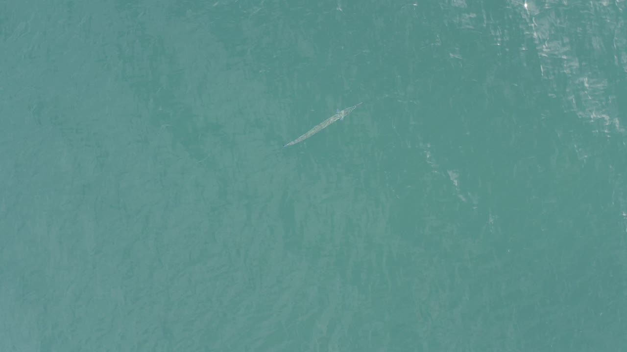 Overhead view of blue-green water in Baja California Sur, Mexico, with the pale gray form near the upper right area and no visible people or boats.