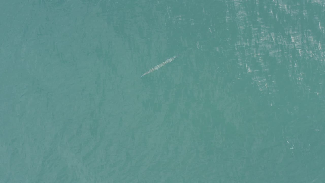 Top-down view over teal water in Baja California Sur, Mexico, with a small pale slender marine animal shape near the upper left and no visible people.
