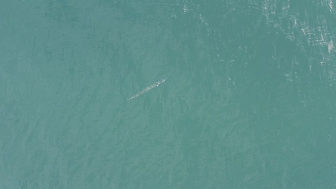 Blue-green water seen from above with a slender pale shape closer to center.