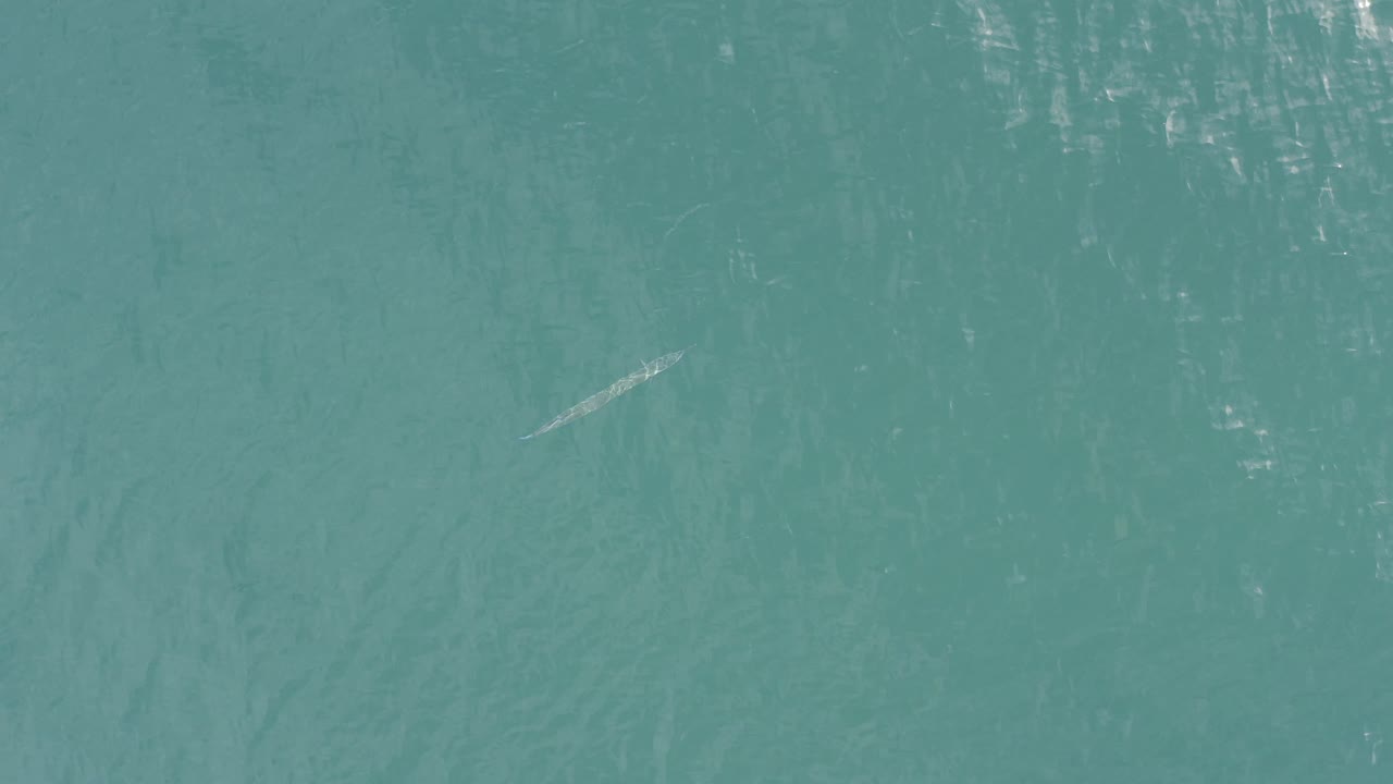 Top-down Baja California Sur ocean frame with a pale diagonal fish-like form toward the right side, darker water texture below it, and no visible people.