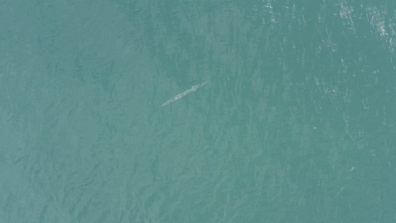 Blue-green ocean surface with a small pale shape under the water.