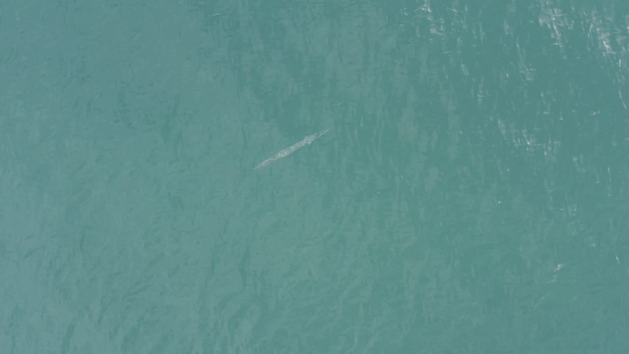 Blue-green ocean water fills the frame in Baja California Sur, Mexico, with a faint pale object set left of center under rippled surface texture and no visible people.