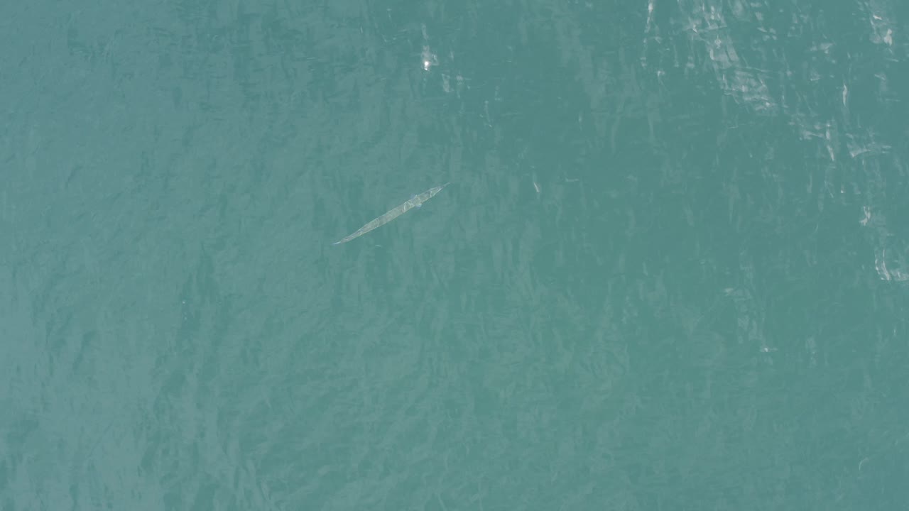Downward view over teal ocean in Baja California Sur, Mexico, with a pale diagonal form beneath the surface near the lower left quadrant and no visible people or shoreline.