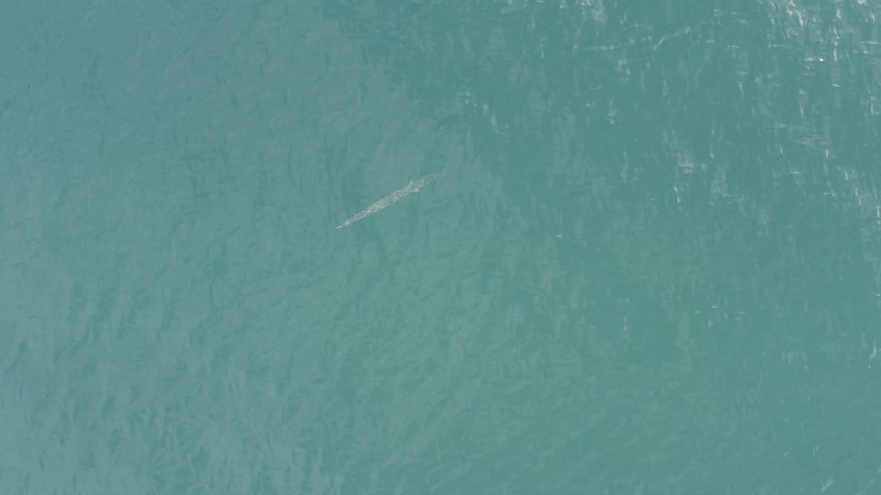 Aerial view of teal ocean water with a small pale whale-like shape near the upper center.
