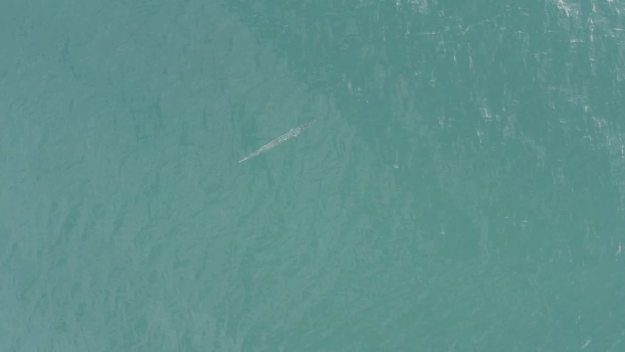 Overhead Baja California Sur ocean frame with textured teal water and a faint pale whale-like shape left of center, with no visible people or boats.