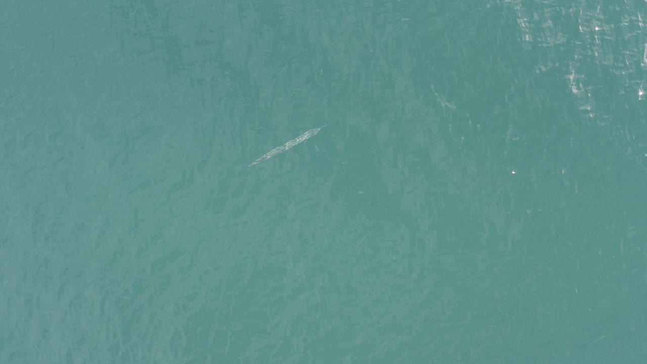 Baja California Sur aerial ocean frame with the small pale whale-like form shifted toward the upper right against lightly rippled teal water, with no visible people.