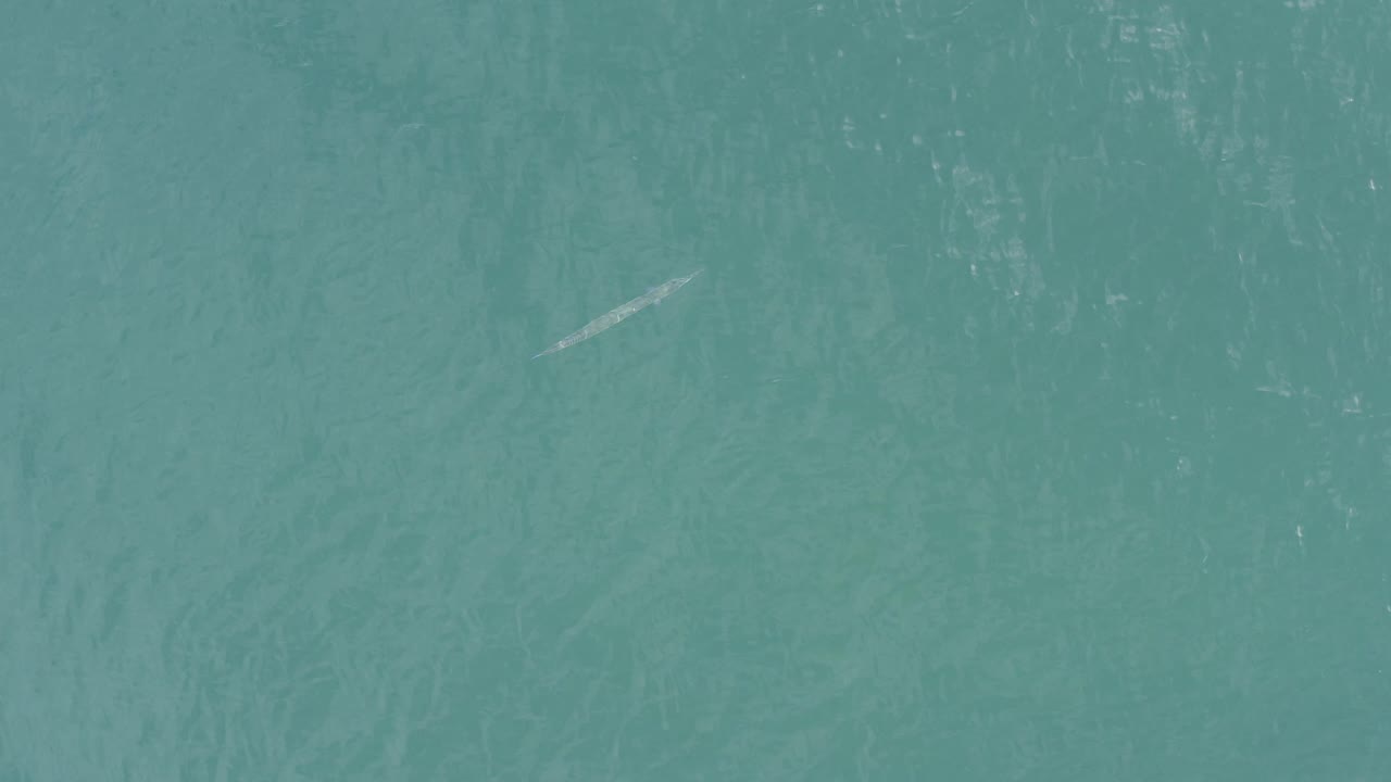 Overhead frame in Baja California Sur, Mexico, with teal water, soft wave streaks, and a pale whale-like form near the lower left, with no visible people.