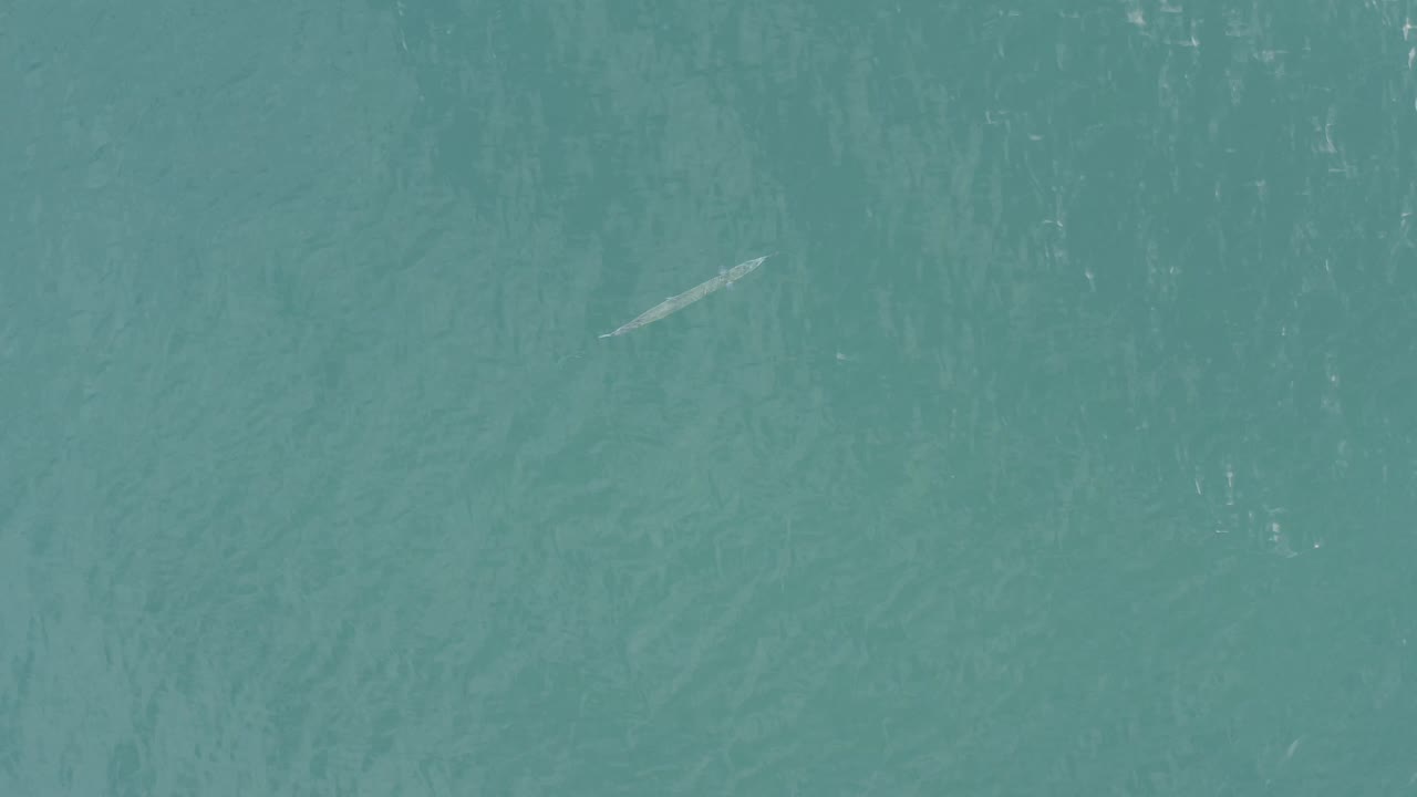 The fish-like shape appears slightly right of center beneath textured turquoise water in Baja California Sur, Mexico, with no visible people.