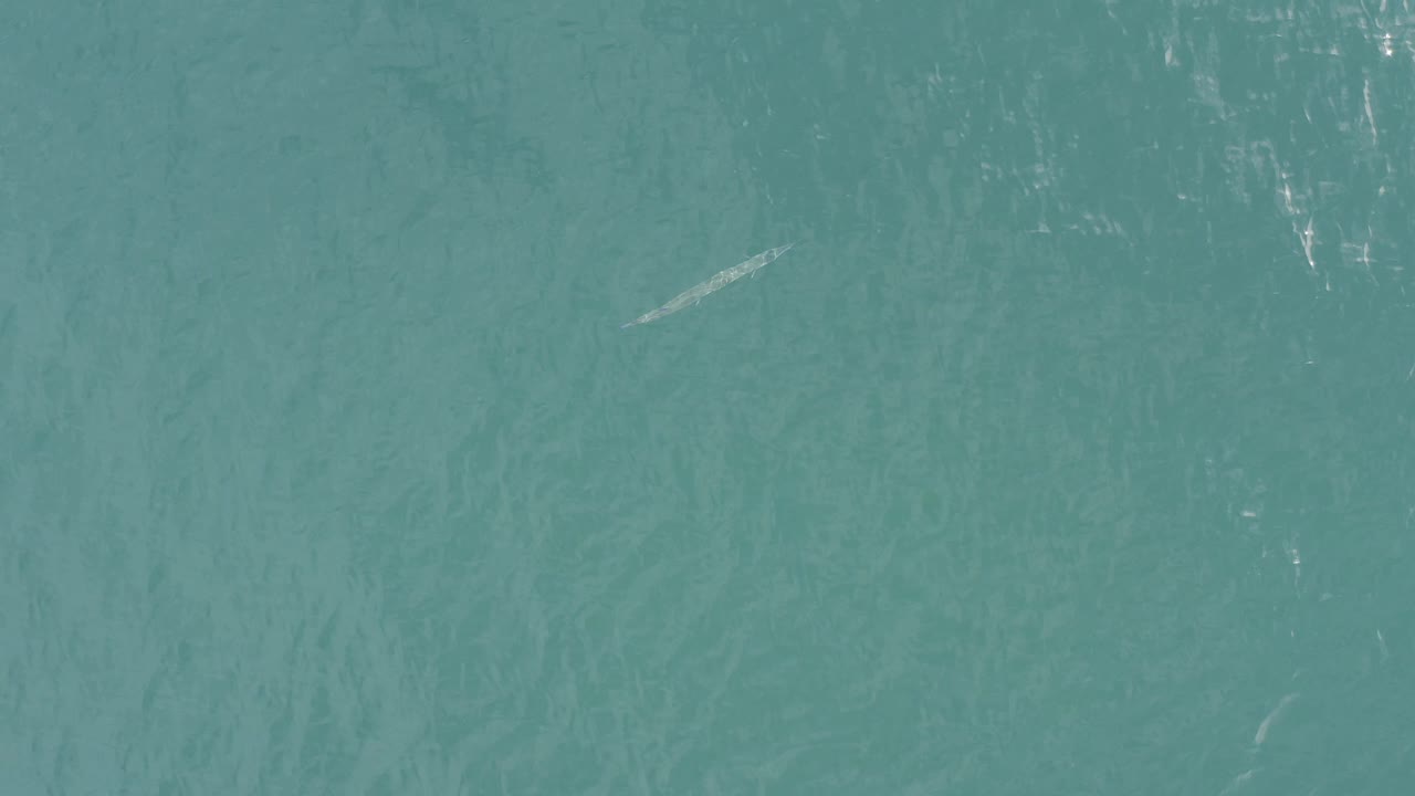 A pale fish-like form is visible near the upper right area of the frame as sunlight glints across turquoise water in Baja California Sur, Mexico, with no visible people.