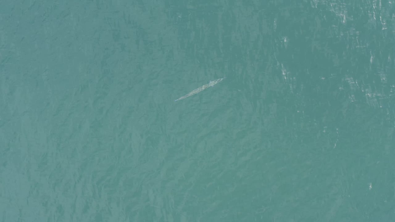 The small fish-like shape sits toward the left side of a full-frame turquoise water surface in Baja California Sur, Mexico, with no visible people.