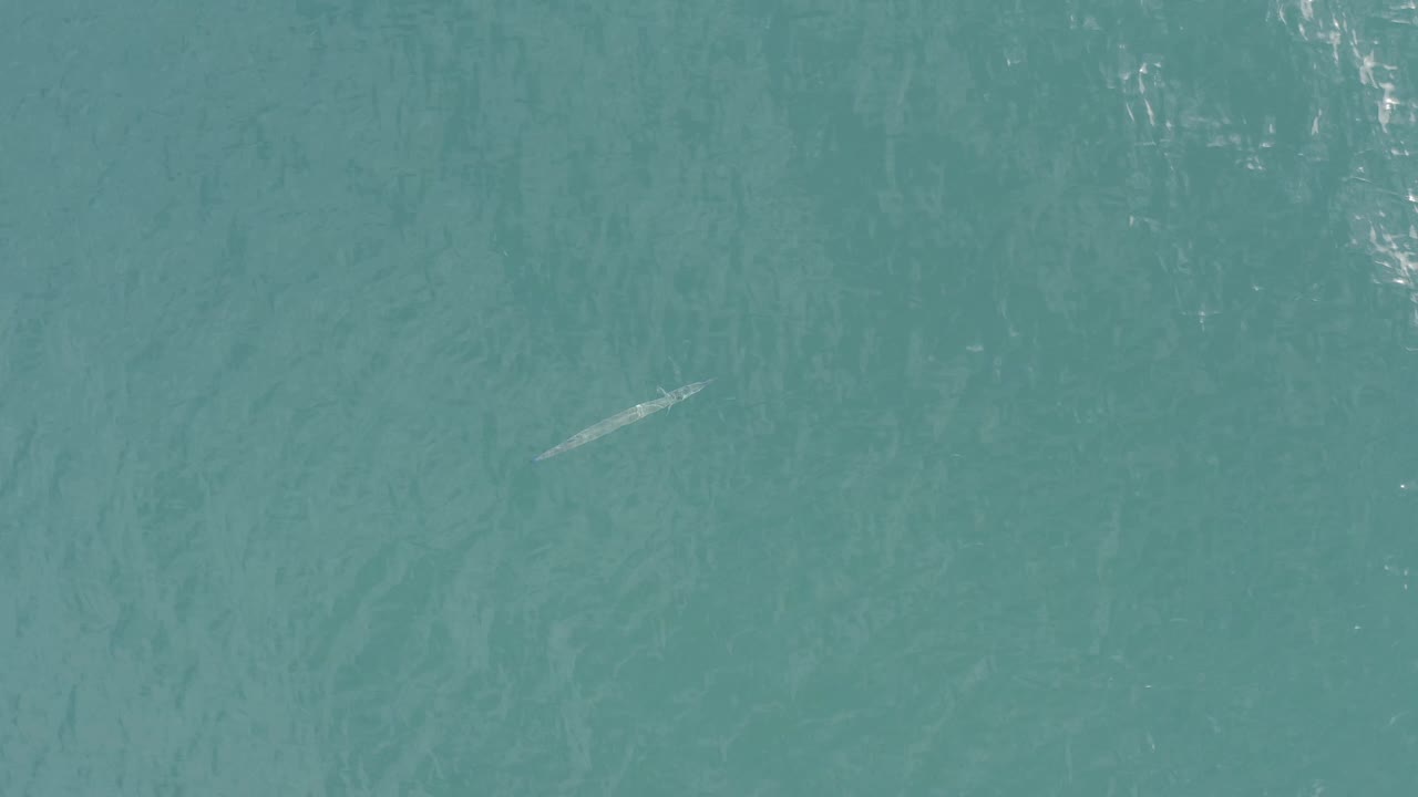 The fish-like pale shape sits closer to the center of the frame over softly rippled turquoise water in Baja California Sur, Mexico, with no visible people.