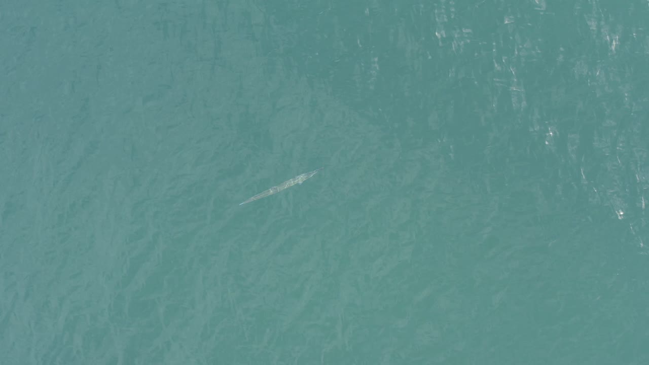 A small pale fish or fish-shaped form appears toward the right side of the turquoise water frame in Baja California Sur, Mexico, with no visible people.