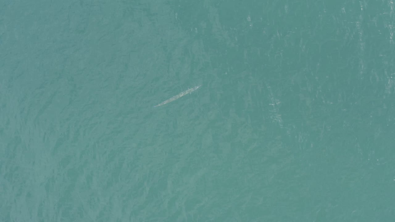 A pale elongated fish-like subject appears near the upper left area of turquoise water in Baja California Sur, Mexico, with ripples and no visible people.