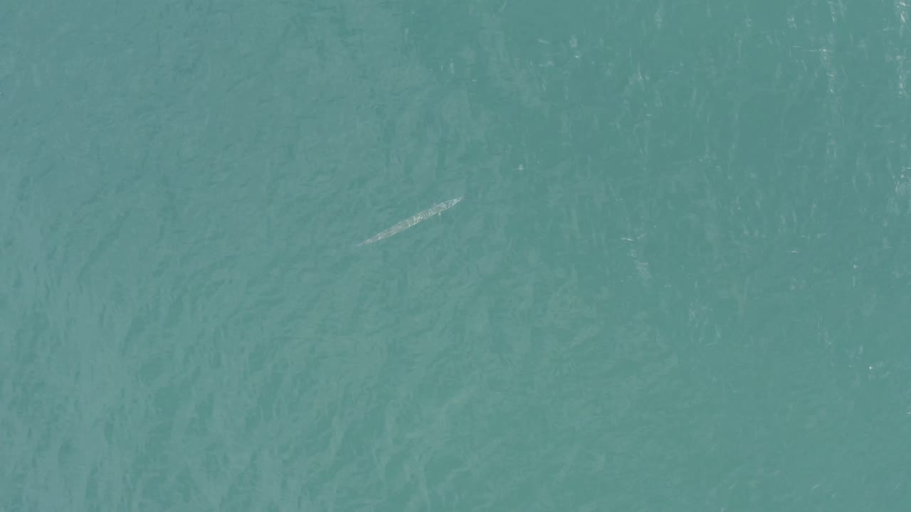 A small pale fish-like shape is visible beneath blue-green water in Baja California Sur, Mexico, with soft surface texture and no visible people.