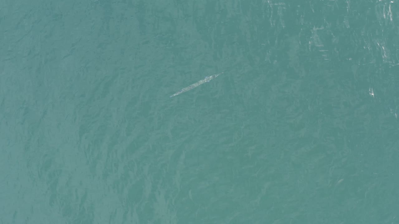 Blue-green ocean water in Baja California Sur, Mexico, seen from above with the thin fish shifted toward the upper center and no visible people.