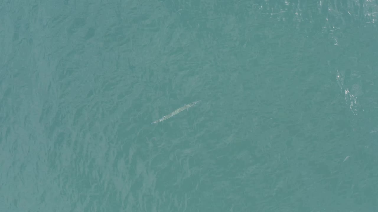 Fish shape under rippled turquoise water