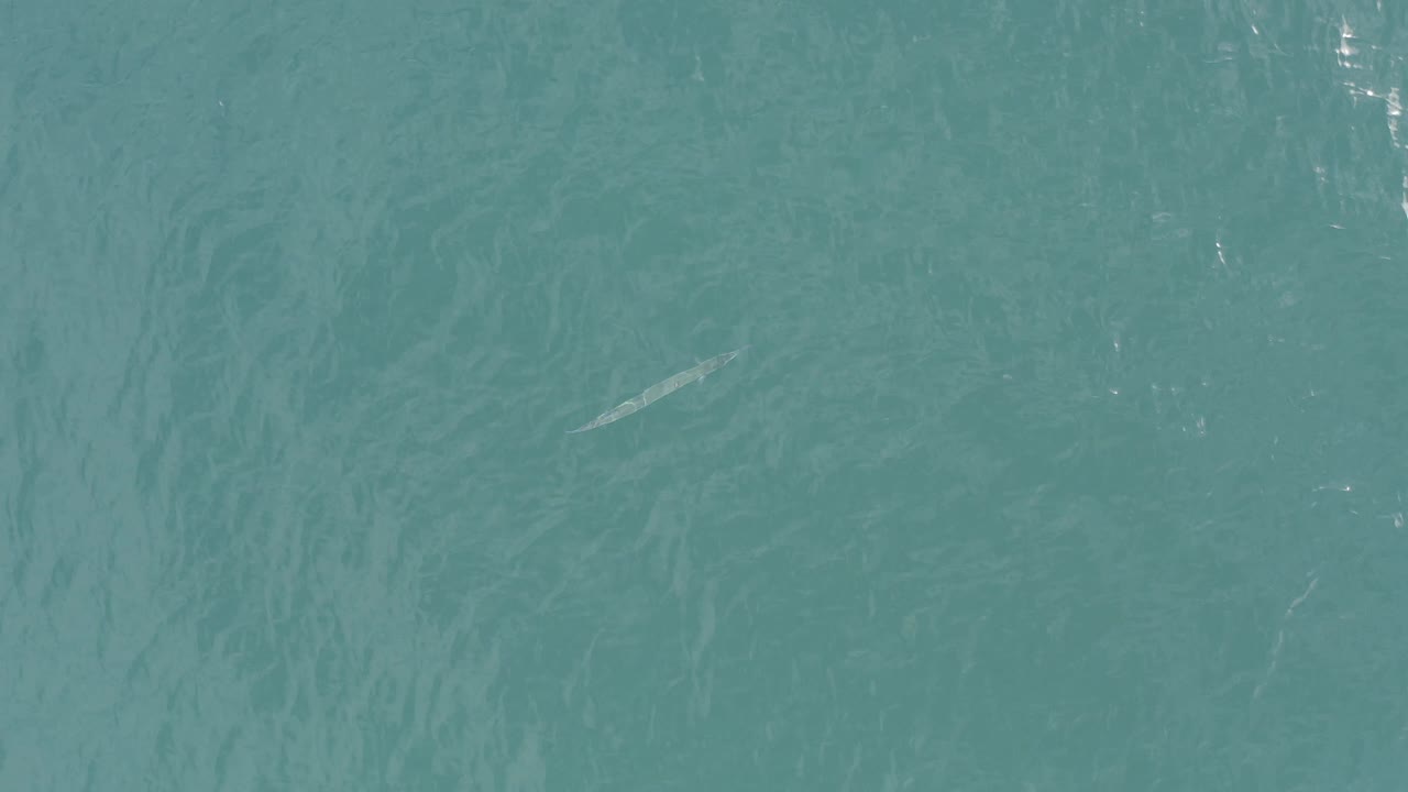 A small pale fish remains visible under green-blue open water in Baja California Sur, Mexico, with faint reflections and no visible people.